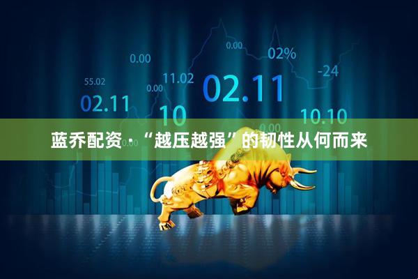 蓝乔配资 · “越压越强”的韧性从何而来