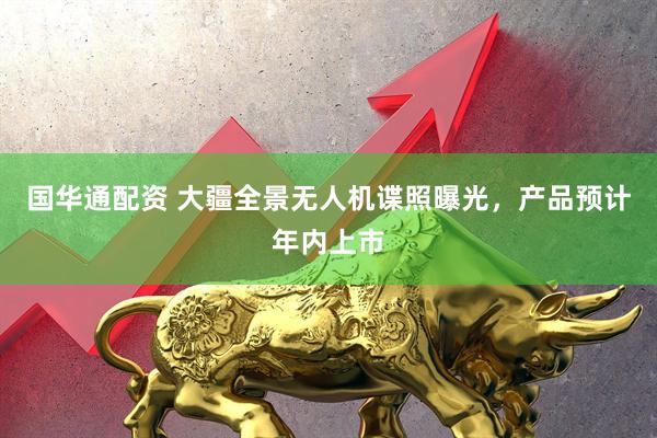 国华通配资 大疆全景无人机谍照曝光，产品预计年内上市